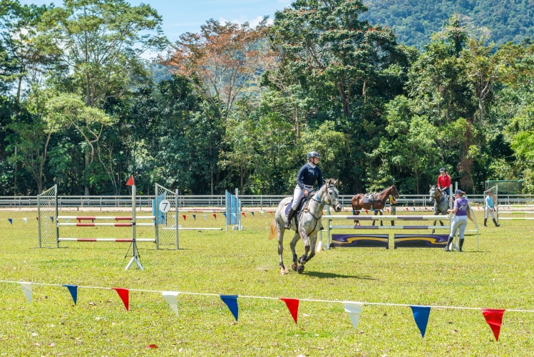 Redlynch Pony 